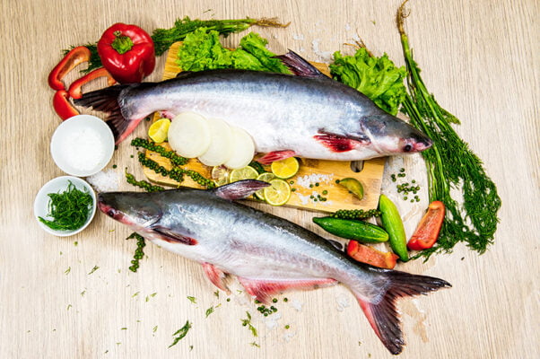 Pangasius Whole