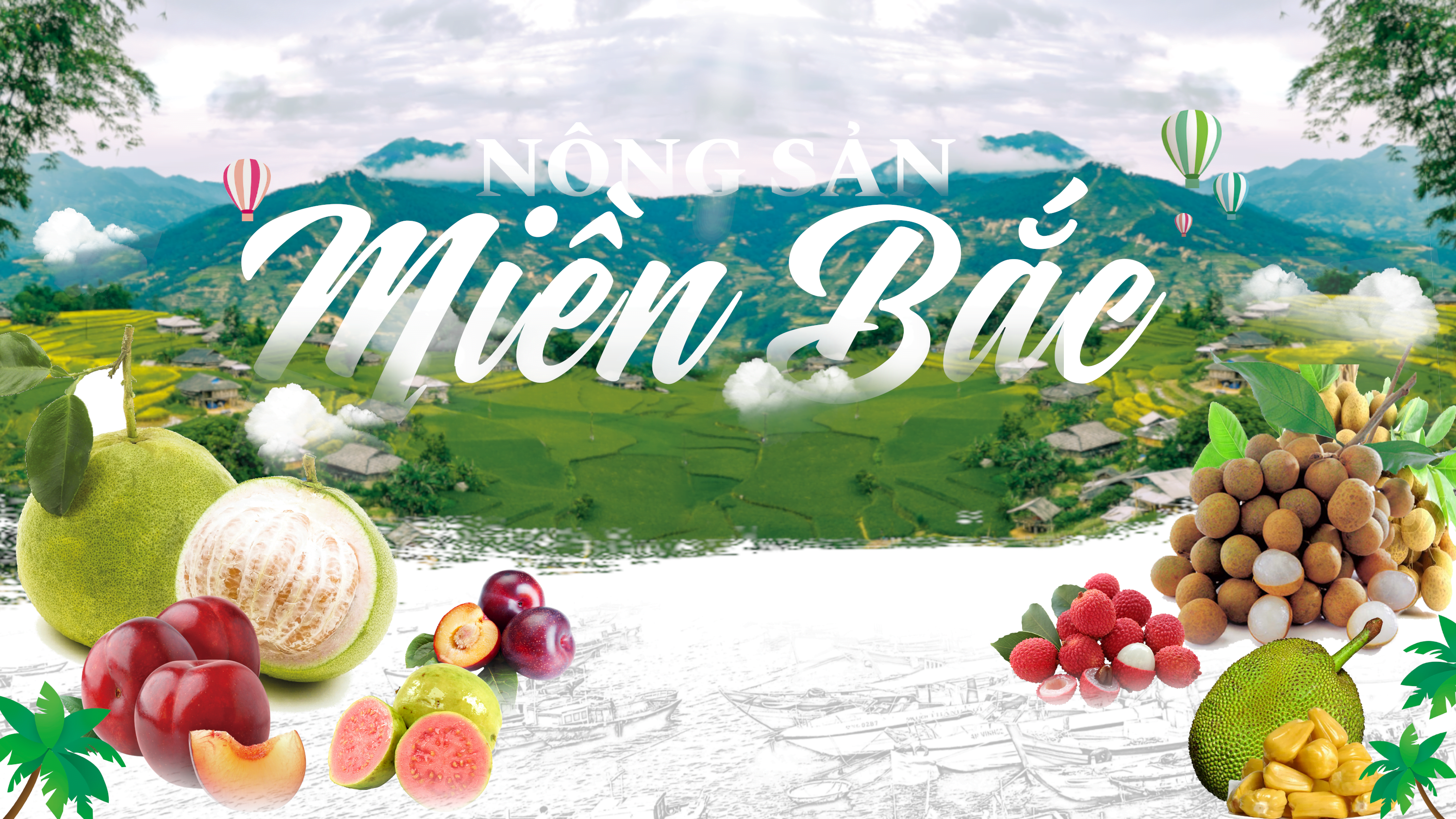 Nông Sản Miền Bẵc