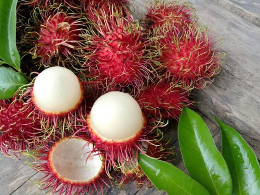 Chom chom thuc qua nhiet doi