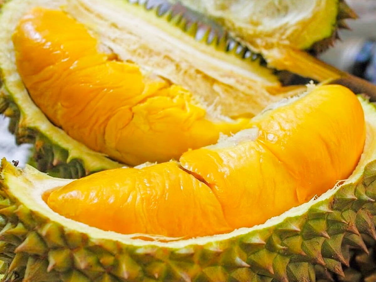 Sầu riêng Ri6