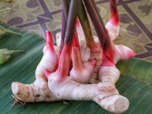 Loại gia vị nông sản có khả năng chống ung thư mạnh mẽ