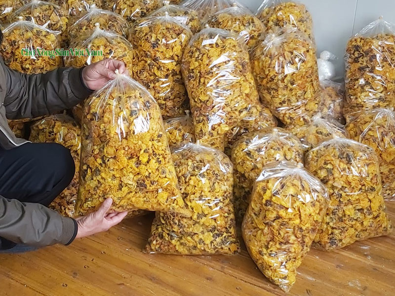 An Na Nguoi Bo Pho De Theo Duoi Dam Me Tra Hoa Vang (5)